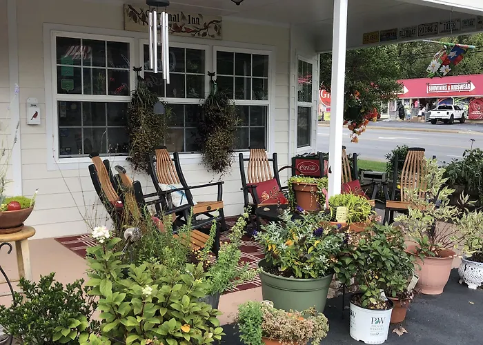 Pet Friendly hotel: Cardinal Inn